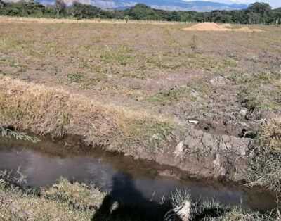 Con título definitivo Vendo 32 tareas de reguio maguellar carretera san juan las matas.